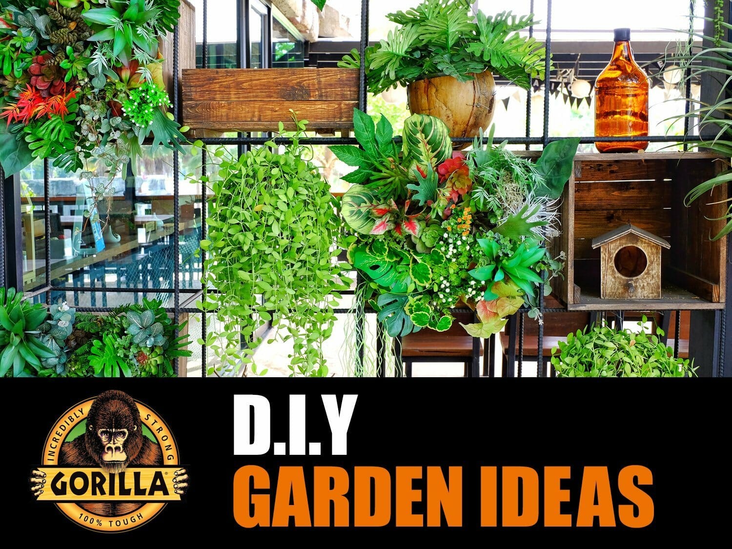 DIY Garden Ideas